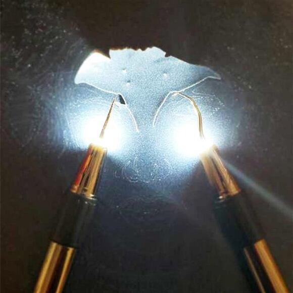 Tweedy Lite Pin Weeding Tools with Built-in LED Light - Picture 5 of 6